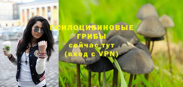 скорость mdpv Богородск