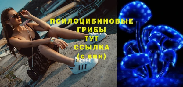 кокс Бородино