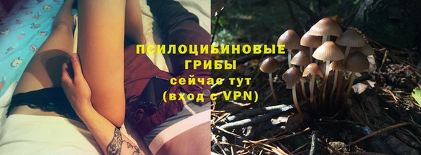 кокс Бородино