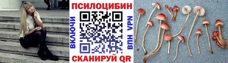 Галлюциногенные грибы Cubensis  KRAKEN ссылка  Кольчугино 